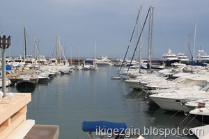 IMG_1009 IMG_1009