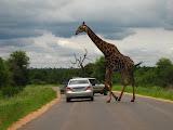 South Africa - 059.JPG