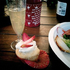 celebration!