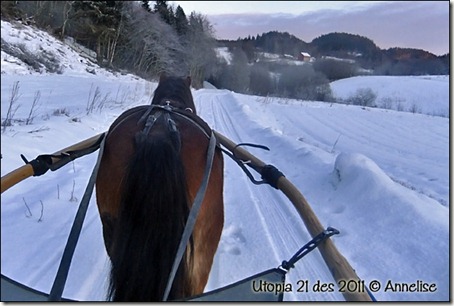 utopia21des_01