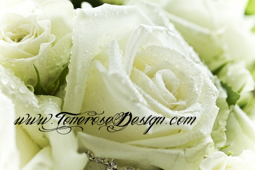 [IMG_1271%255B5%255D.jpg]