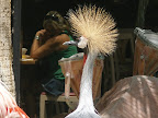 Some sort of exotic turkey thing at the flamingo habitat at the Flamingo.
