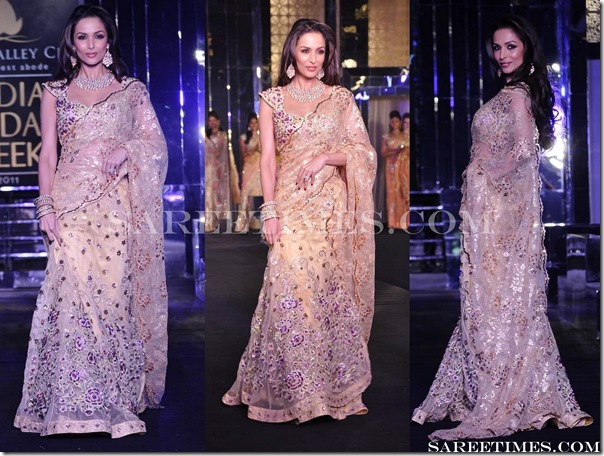 Bhairavi_Jaikishen_Malaika_Arora_Saree