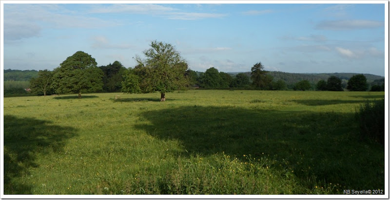 SAM_0563 Stonefields SAM_0563 Stonefields
