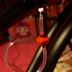 IMGP1164.JPG