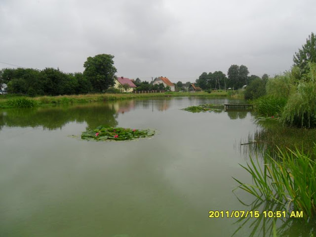 Mazury 2011 i Zoo 087_800x600.JPG