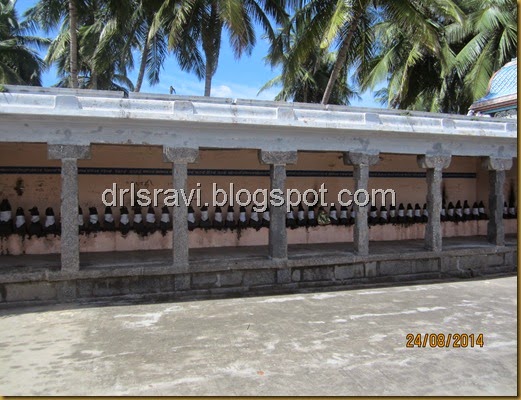 IMG_0037 IMG_0037