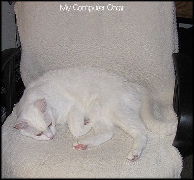 [compchair%255B1%255D%255B3%255D.jpg]