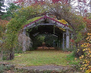 jardim