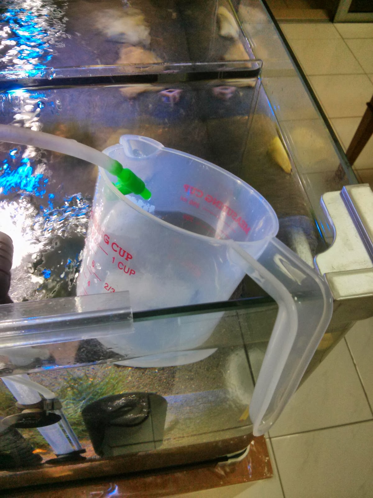 Swim With Shrimps DIY shrimp drip acclimate tool