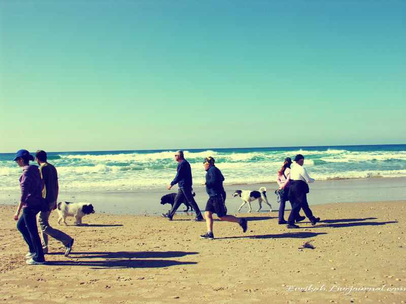 ЗИМНЯЯ ХАЙФА