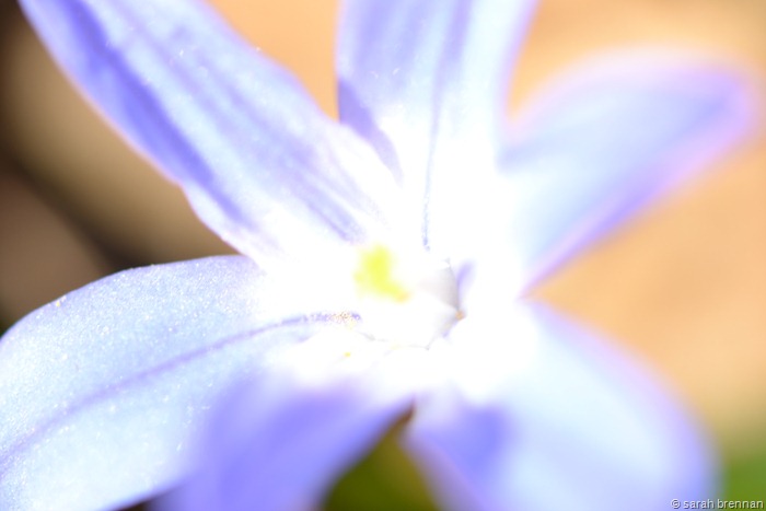 [DSC_0124%2520%25284%2529%255B8%255D.jpg]