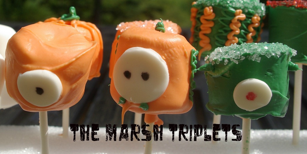 [marshtriplets4.jpg]