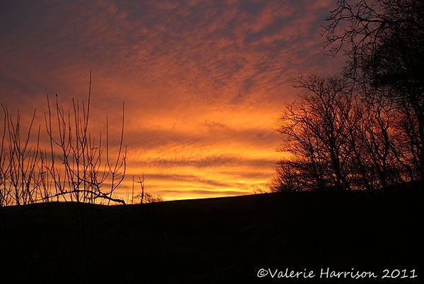 [sunset%255B6%255D.jpg]