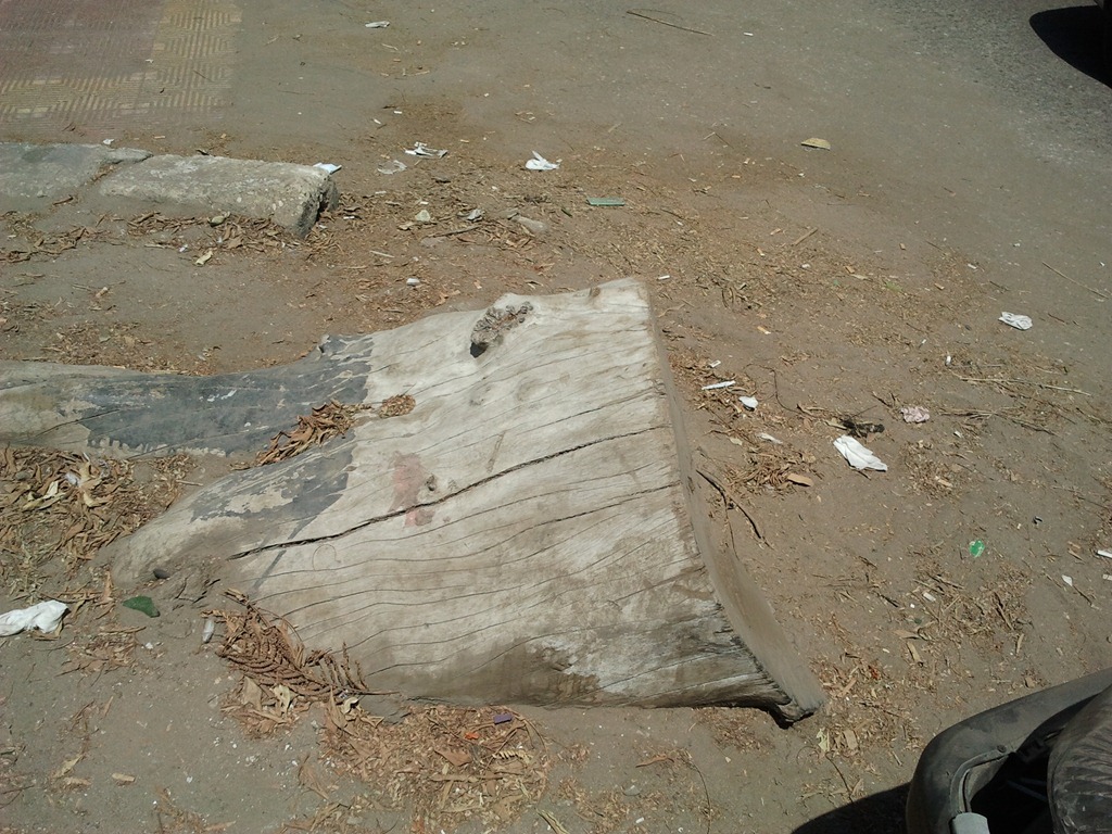 [2012-09-03%252011.40.19%255B3%255D.jpg]