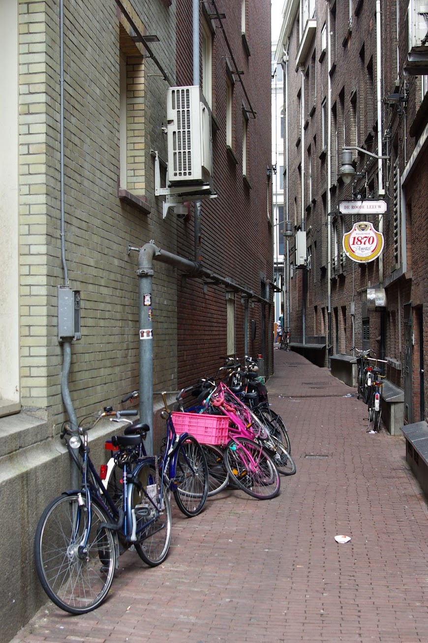 IMGP7090.jpg