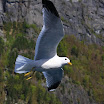 IMG_9244.JPG