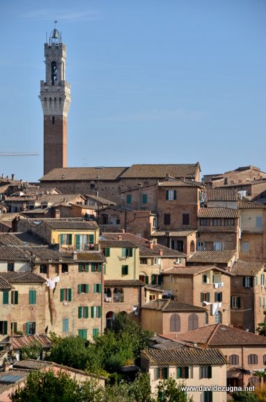 Siena, la Torre del Mangia