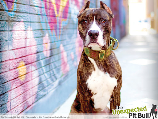 A masterpiece in every way!
Photo of Kane by Lisa Prince-Fishler