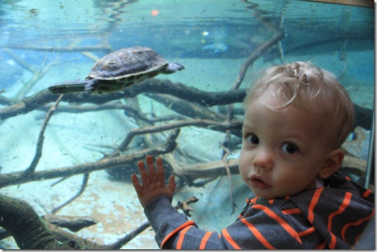 IMG_4025 IMG_4025