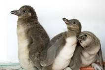 [clip_image006%255B11%255D.jpg]