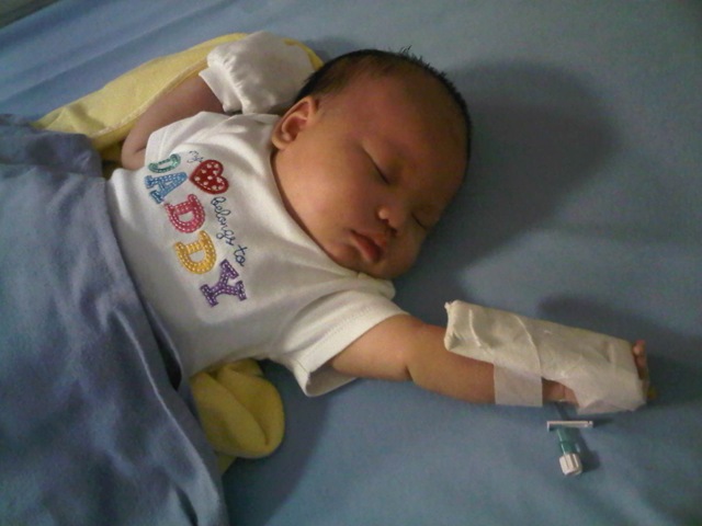 [IMG01161-20120122-0916%255B3%255D.jpg]