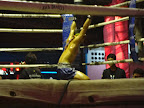 DSC00454.jpg