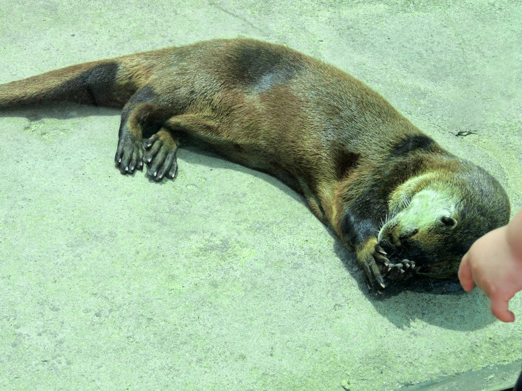 [DSCN9265%255B4%255D.jpg]