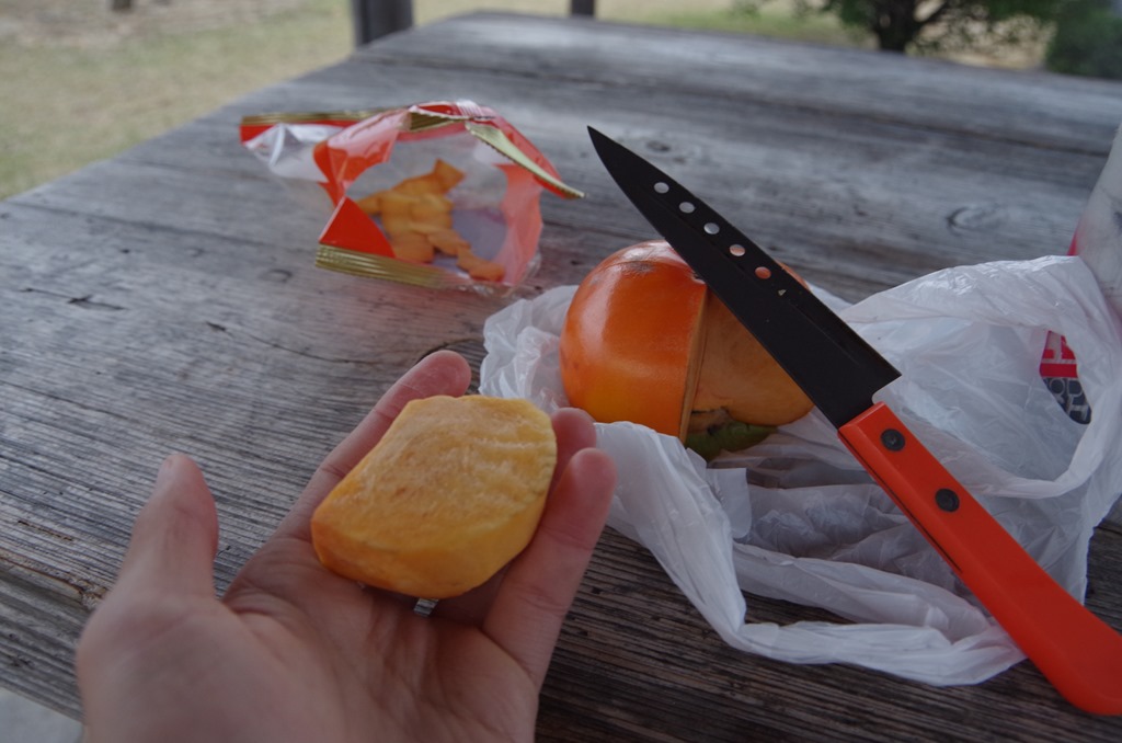 [IMGP48853.jpg]