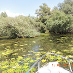 DSCN3039.JPG