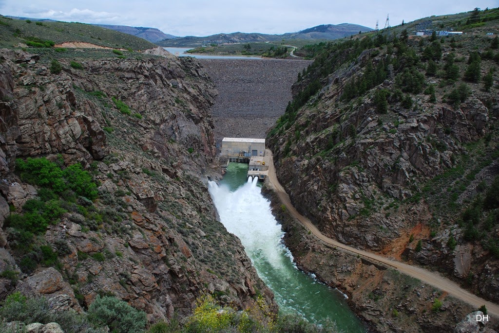 [06-08-14-A-Blue-Mesa-Dam-Area-394.jpg]