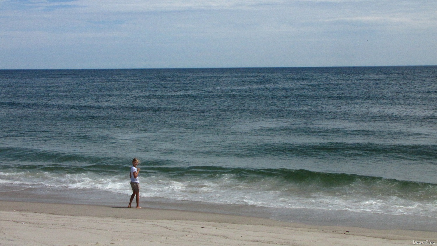 [birding-south-beach_0683.jpg]