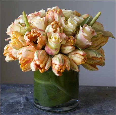 DSCF2803small bloom by Anuschka DSCF2803small bloom by Anuschka