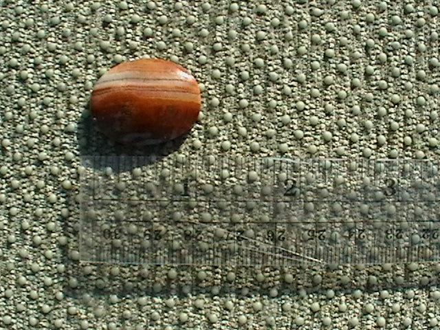 [IMGA07523.jpg]