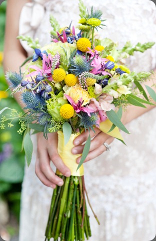 20100624_Chapple-Flowers_1286-Edit 20100624_Chapple-Flowers_1286-Edit