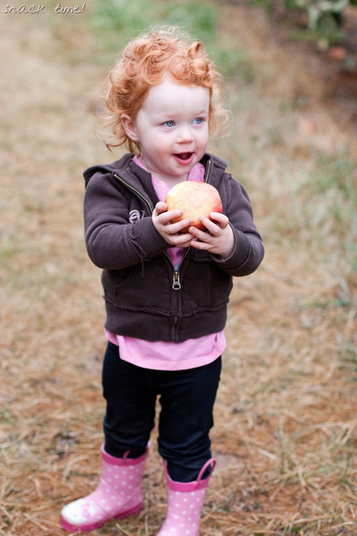 [20121011-IMG_0648-212.jpg]