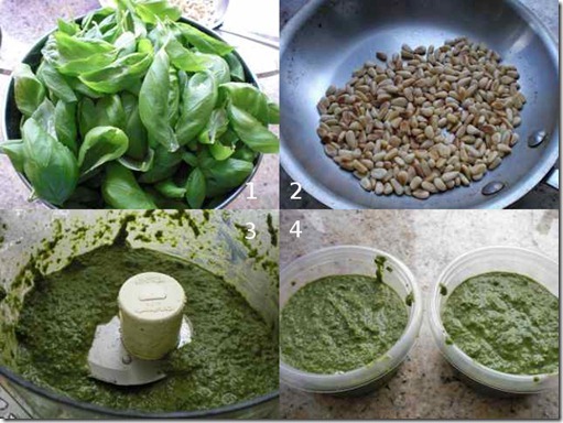 pesto pesto