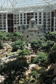 IMG_0905.JPG