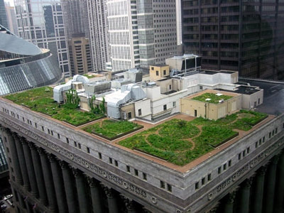 The top of Chicago City Hall is a perfect example of why the city considers itself the green-roof capital. (Photograph by Diane Cook and Len Jenshel)