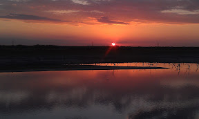 IMAG0296.jpg