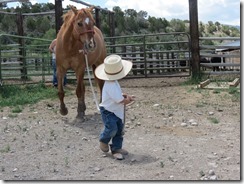 IMG_1686 IMG_1686