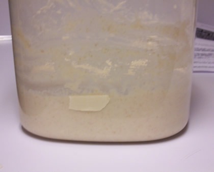[salt-rising-bread%2520010%255B1%255D.jpg]