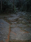IMG_4853_512.JPG