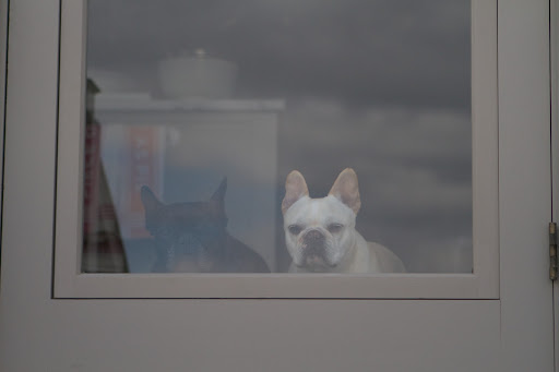 Sharkey, it looks like the sun has come out and I could really soak up some rays. GK is already on the terrace, so let's go too! Sharkey, it looks like the sun has come out and I could really soak up some rays. GK is already on the terrace, so let's go too!