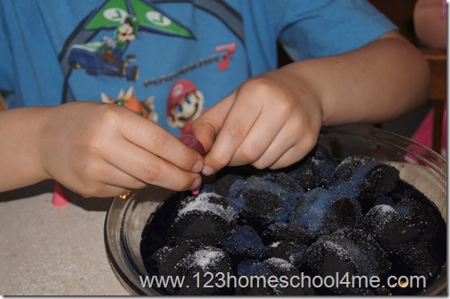 our fun homeschool science our fun homeschool science