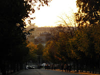 PB050698.JPG