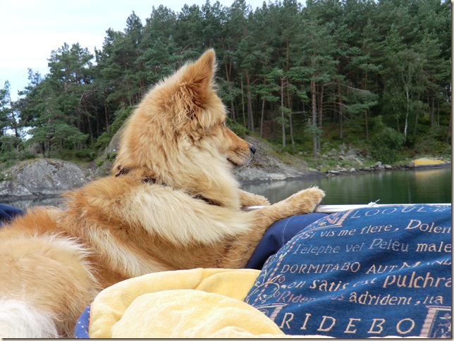 juli 2011 Sola og båtur 134