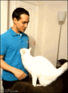[422210a333ee130fc1f9bc5%255B3%255D.gif]