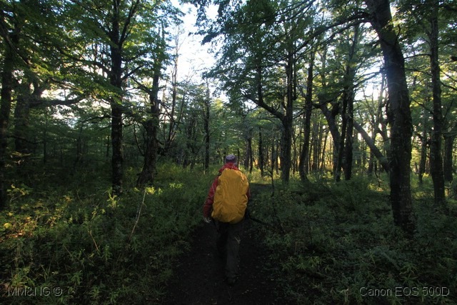 [IMG_5794%255B1%255D.jpg]