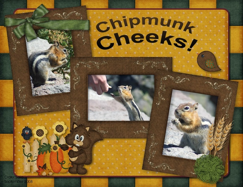[ChipmunkCheeks4.jpg]